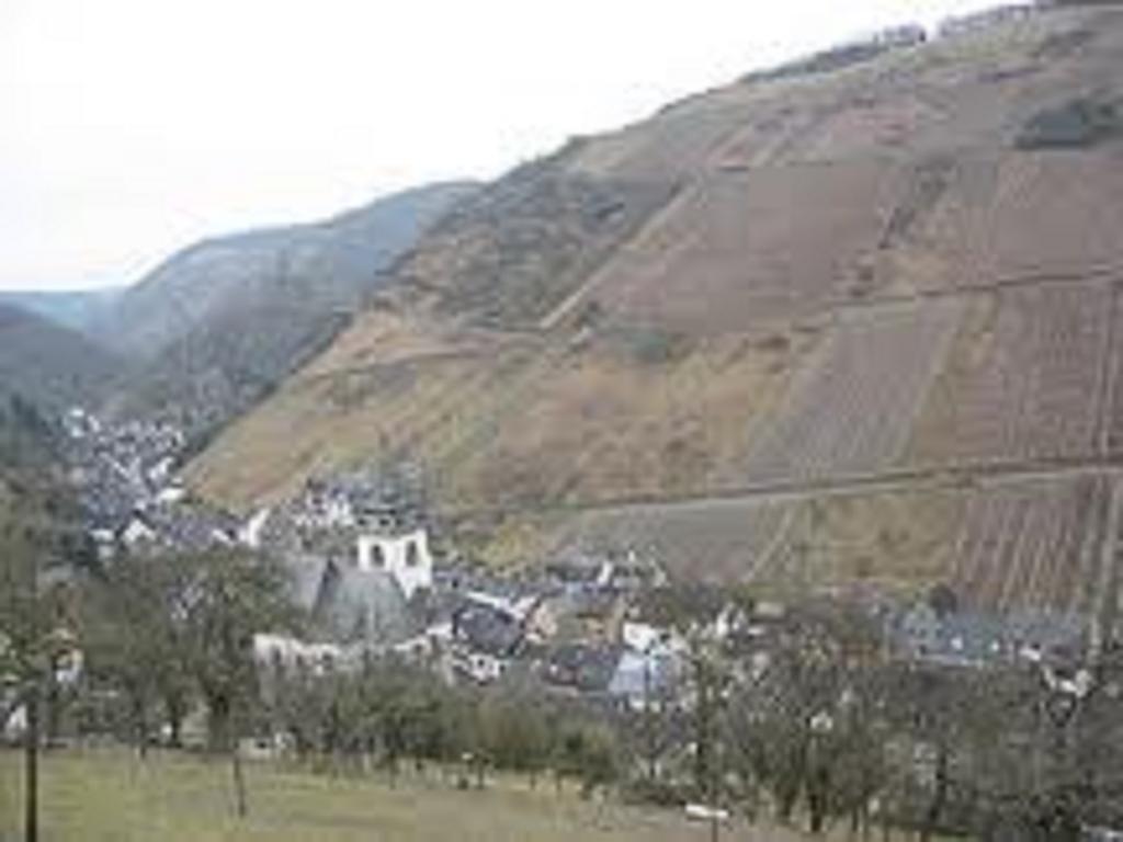 Hôtel Steeger Tal à Bacharach Extérieur photo